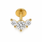 Arclet Stud