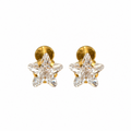 Aster Studs